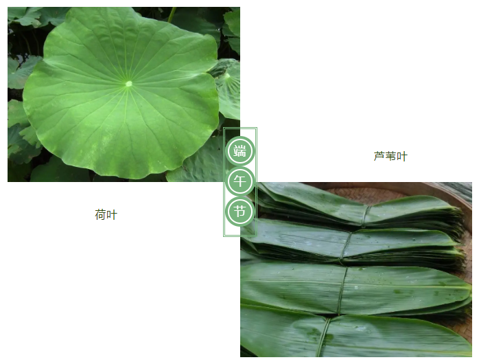 开云官方在线网页版医纺