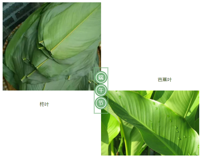开云官方在线网页版医纺