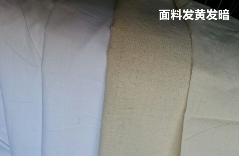 开云官方在线网页版医防医用面料
