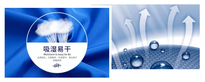 开云官方在线网页版医纺