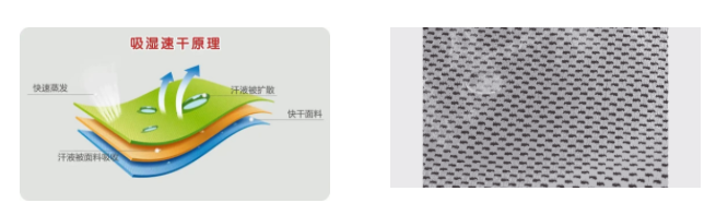 开云官方在线网页版医用纺织