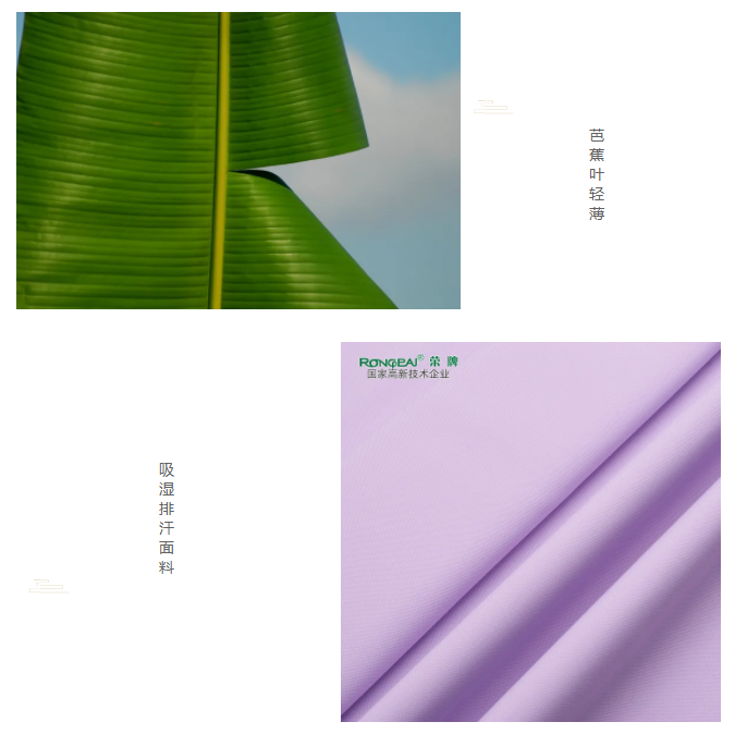 开云官方在线网页版医纺