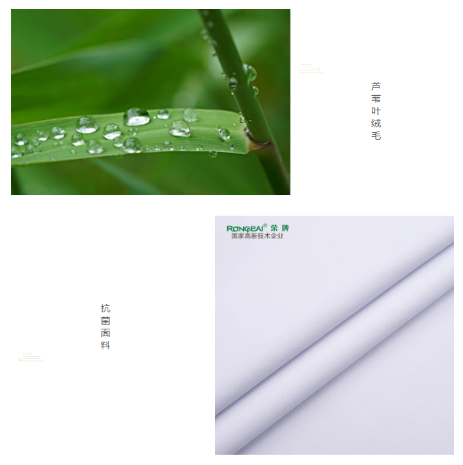 开云官方在线网页版医纺