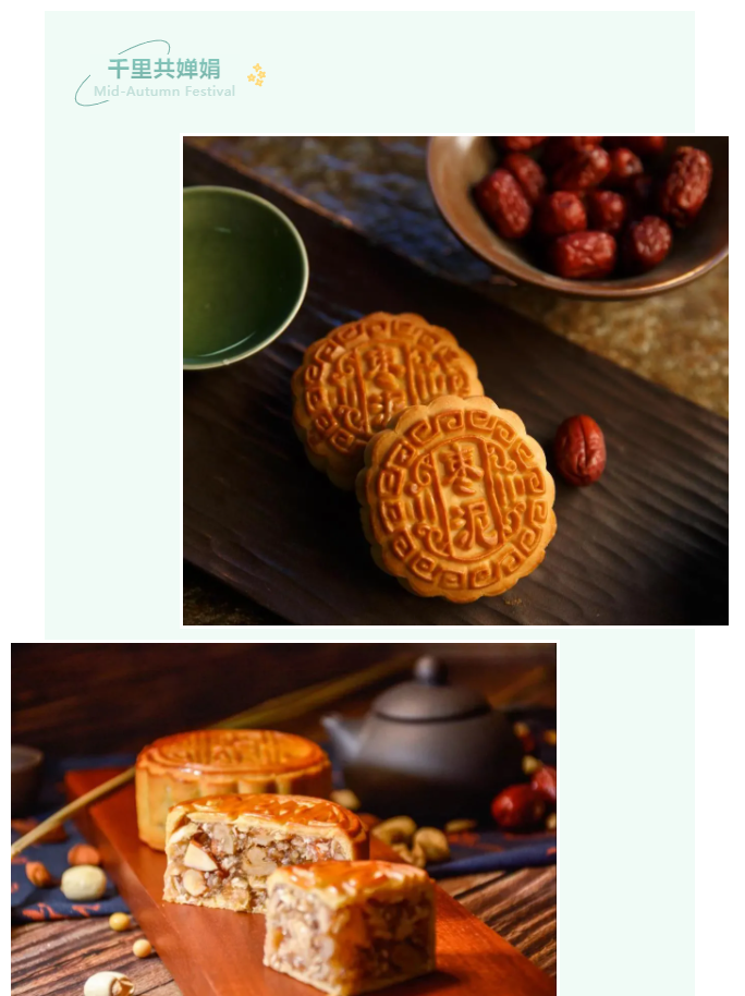 开云官方在线网页版医纺